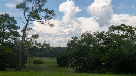 scout ranger requirements 2024|Boy Scouts explore sale of 500 acres of Sand Hill camp in .